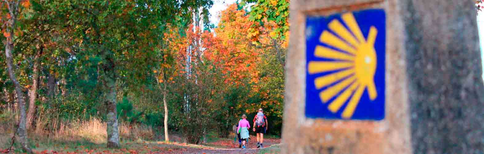 El Camino de Santiago: Historia, Origen e Información útil