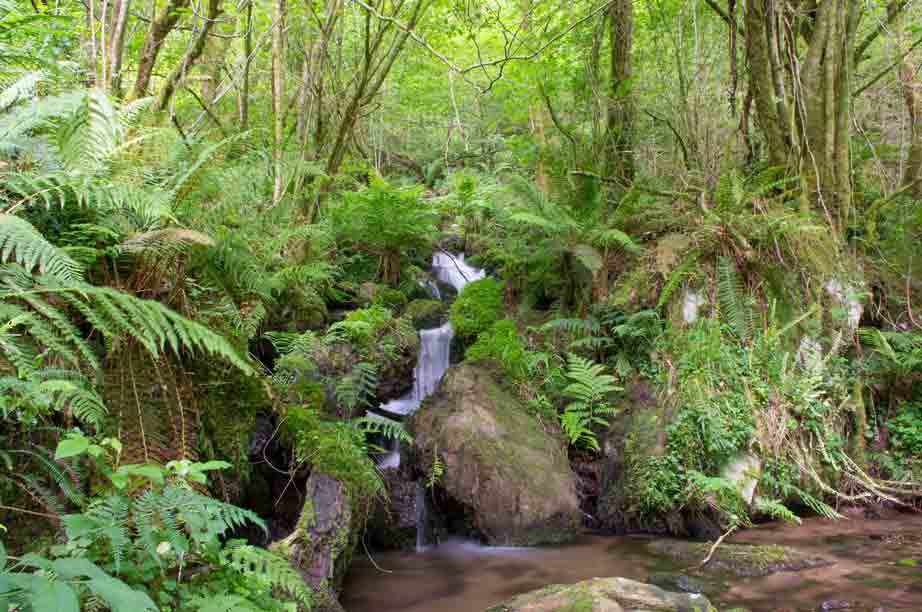 Rutas senderismo Galicia