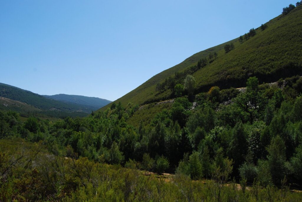 Paisaje de bosque atlántico y montaña en el Parque Natural de O Invernadeiro, Ourense